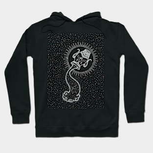 Starry Aquarius Hoodie